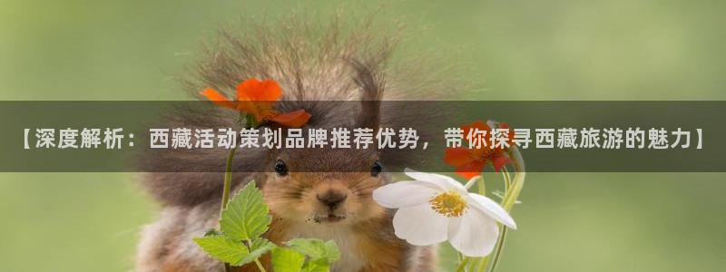 美高梅游戏官网app