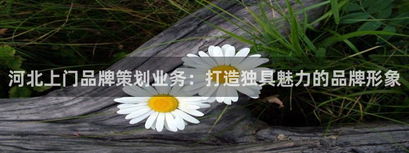 美高梅网络平台游戏网址