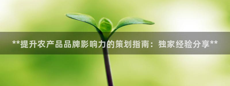美高梅集团网站是多少