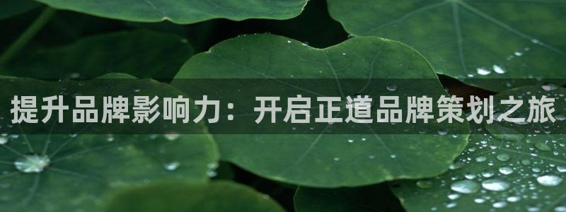 澳门mgm美高梅集团官方网站