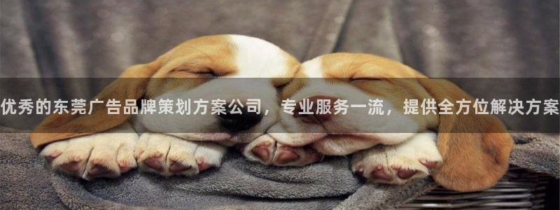 mgm美高梅国际官方网站