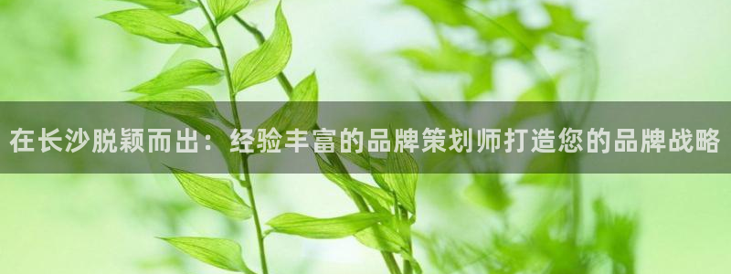 美高梅4688集团am