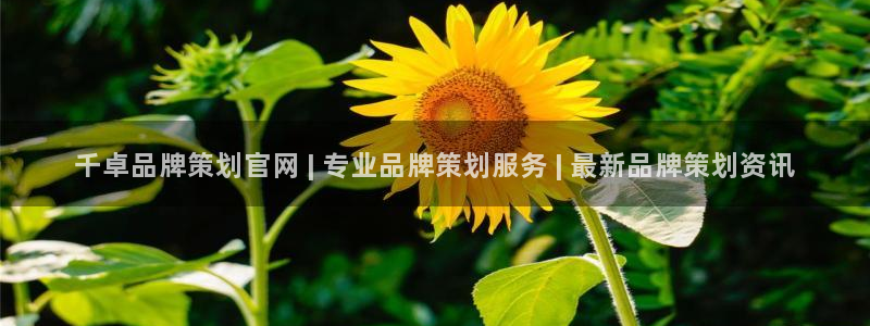 美高梅集团4688.am.首页