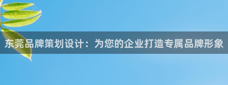 美高梅官网开户app|东莞品牌